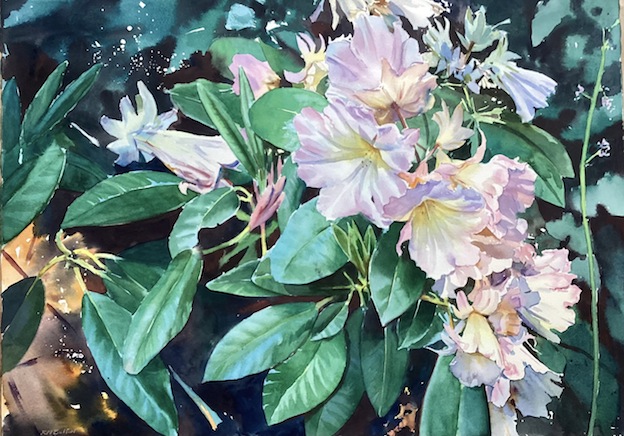 Richard bolton|  Rhododendrons|McAtamney Gallery and Design Store | Geraldine NZ
